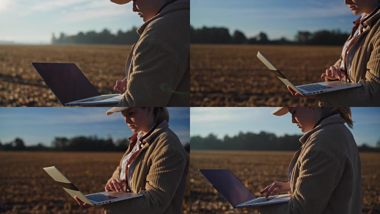 在阳光明媚的玉米作物中在笔记本电脑上工作的女农民