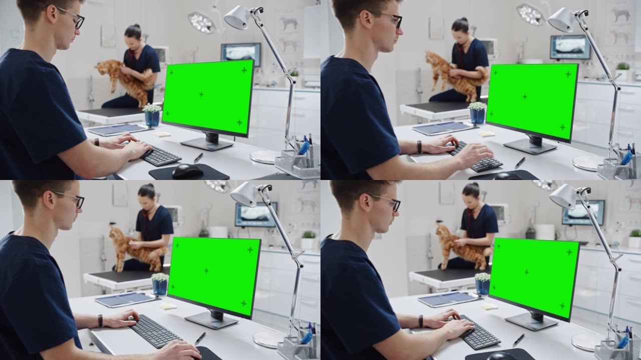 兽医诊所的医生在带有绿屏模拟显示的台式计算机上工作。女兽医用听诊器诊断一只红色的缅因浣熊猫