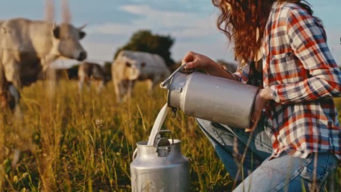SLO MO Young rancher女人在牧场上从一个罐子倒牛奶到另一个罐子