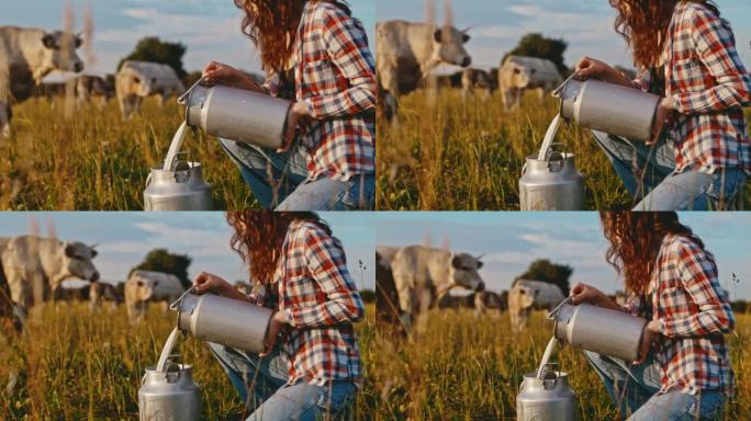 SLO MO Young rancher女人在牧场上从一个罐子倒牛奶到另一个罐子