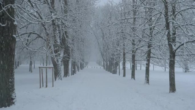 空荡荡的白雪覆盖的大道横穿田园诗般的公园，被暴风雪吞没。