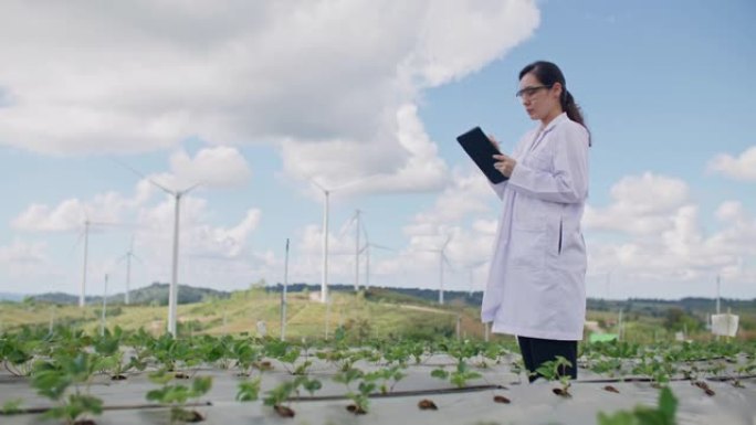 科学家使用平板电脑检查工厂