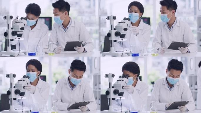 两名医学科学家在研究设施内使用药片和显微镜检查病毒样本。专家将数据输入系统，并在培养皿上进行分析，从