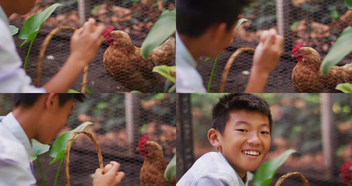 微笑的亚洲男孩，带着篮子从花园里的母鸡那里收集鸡蛋