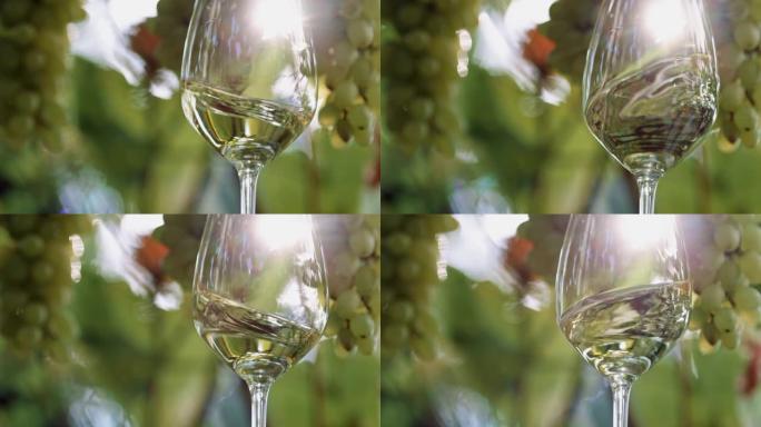 白葡萄上杯白葡萄酒。阳光冲破葡萄园的树枝，照亮了一杯白葡萄酒。挥舞白葡萄酒