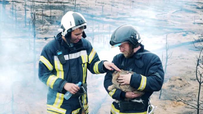 火灾发生后，消防员正在照顾一只获救的兔子。