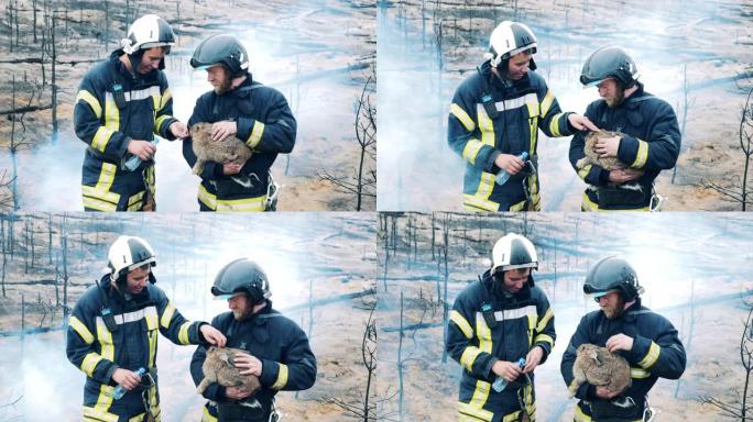 火灾发生后，消防员正在照顾一只获救的兔子。