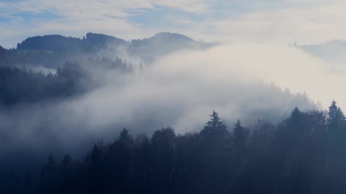 雾云在自然森林景观上快速移动的时间流逝