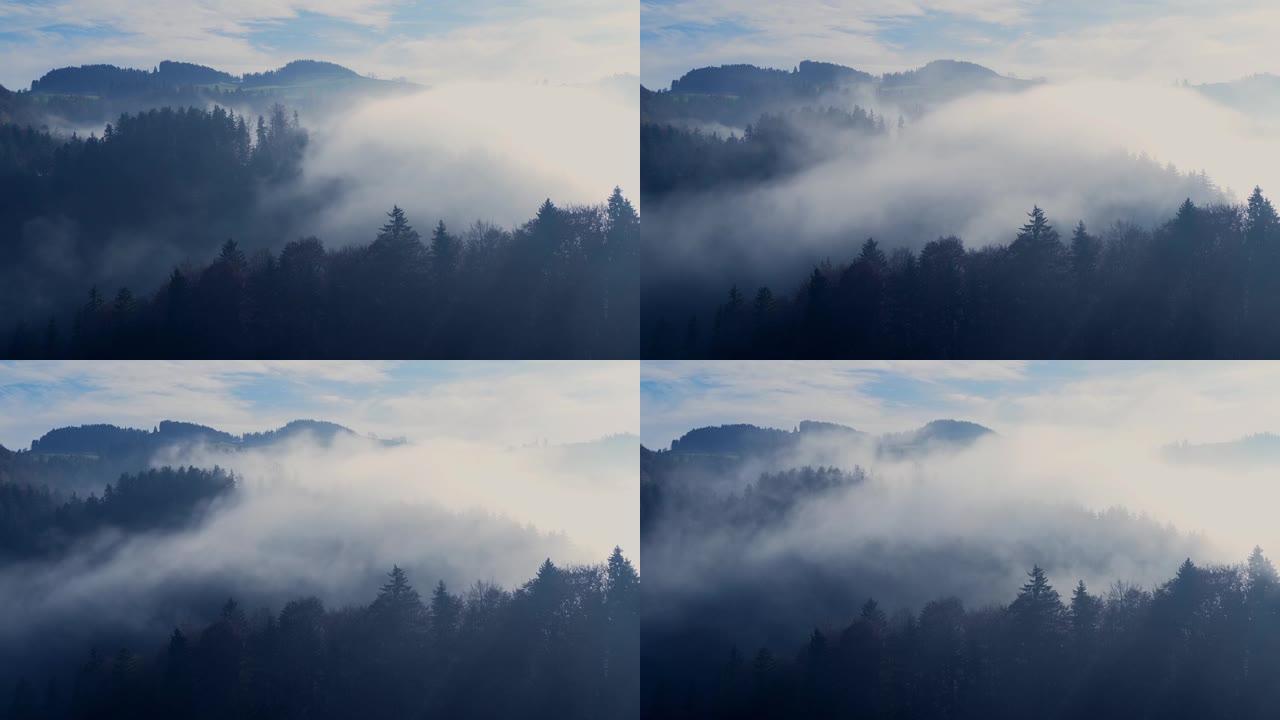 雾云在自然森林景观上快速移动的时间流逝