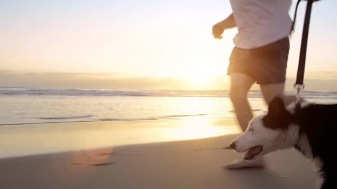 4k视频片段，一名男子在日落时与狗一起在海滩上奔跑