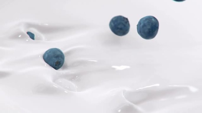 蓝莓以4k超慢动作溅入液体奶油中