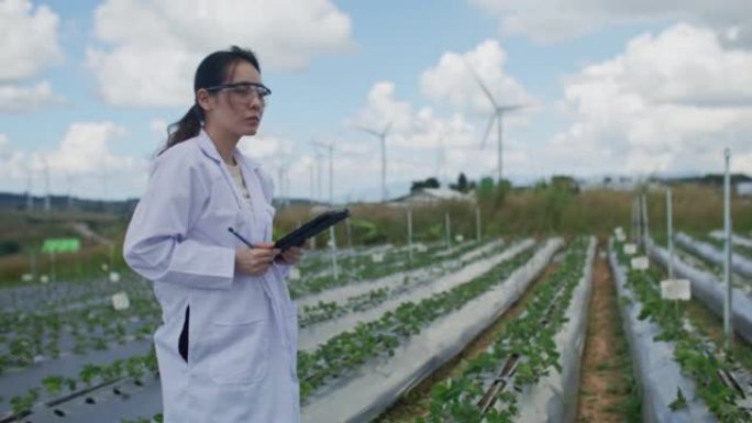 Botanist Carefully Examining Cultivated in farm