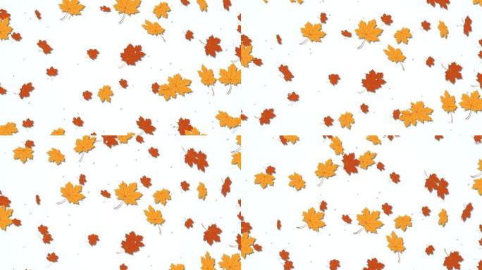 一片纷飞的秋叶落到地上。秋季叶子环背景