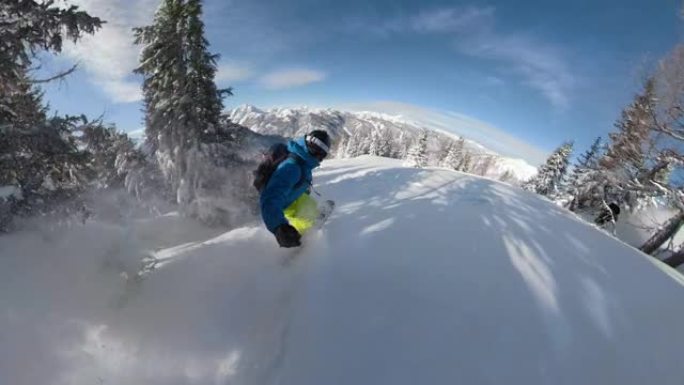 自拍照: 滑雪者在穿越森林时雕刻新鲜的粉末雪