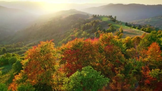 温暖的夕阳秋景。山丘背景上有红色和黄色叶子的树木。空中秋季自然景观