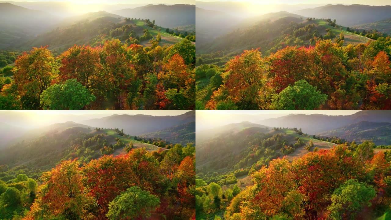 温暖的夕阳秋景。山丘背景上有红色和黄色叶子的树木。空中秋季自然景观