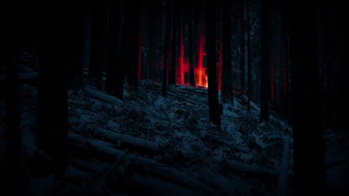 夜晚，大火照亮了白雪皑皑的树林