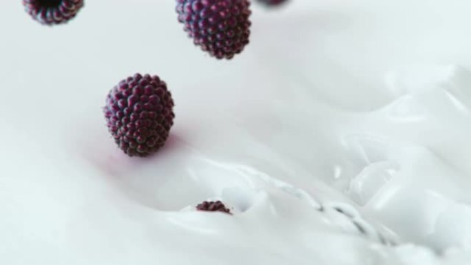 黑莓以4k超慢动作溅入液体奶油中