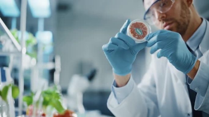 英俊的男性微生物学家正在看一个实验室培养的纯素食肉样本。在现代食品科学实验室中研究植物性牛肉替代品的