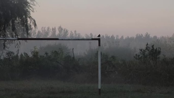 黎明时分，阿根廷布宜诺斯艾利斯，南美，蒂格雷的一个岛上有雾的足球场。