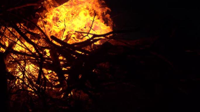 特写: 在晴朗的夏夜点燃篝火的电影镜头。
