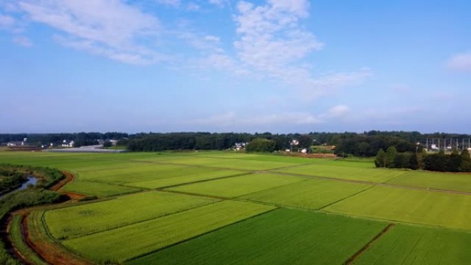 夏季日本乡村景观的鸟瞰图