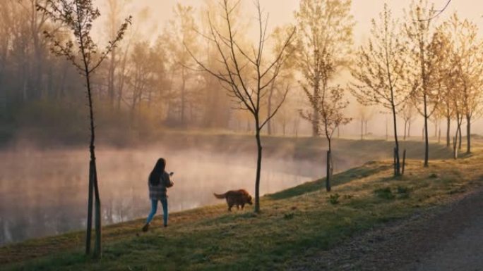 年轻女子在雾湖附近与狗散步时使用手机