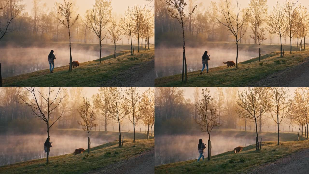 年轻女子在雾湖附近与狗散步时使用手机