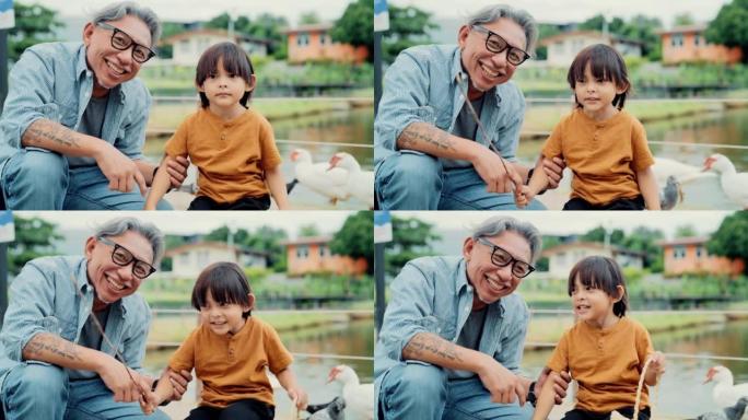 快乐的学龄前男孩和爷爷一起学习喂鸭子。