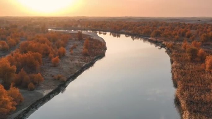 塔里木河穿过塔克拉玛干沙漠，两岸有胡杨林