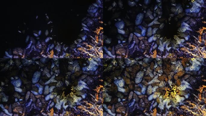 在显微镜下，化学溶液的结晶看起来很像火山熔岩