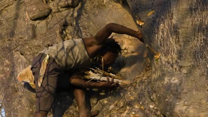 Hadza狩猎采集者部落成员在猴面包树上抽烟蜜蜂以获取坦桑尼亚的蜂蜜