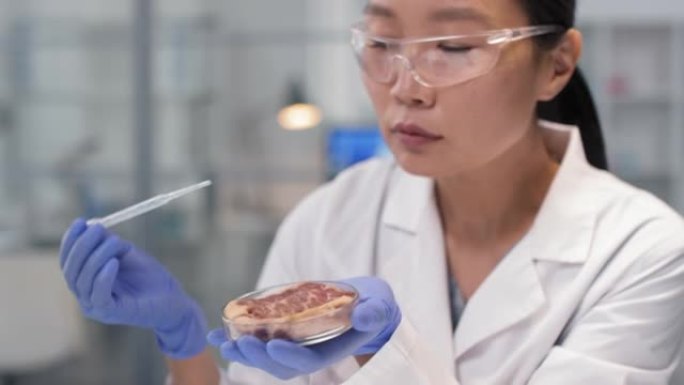 女科学家在实验室分析牛肉样品