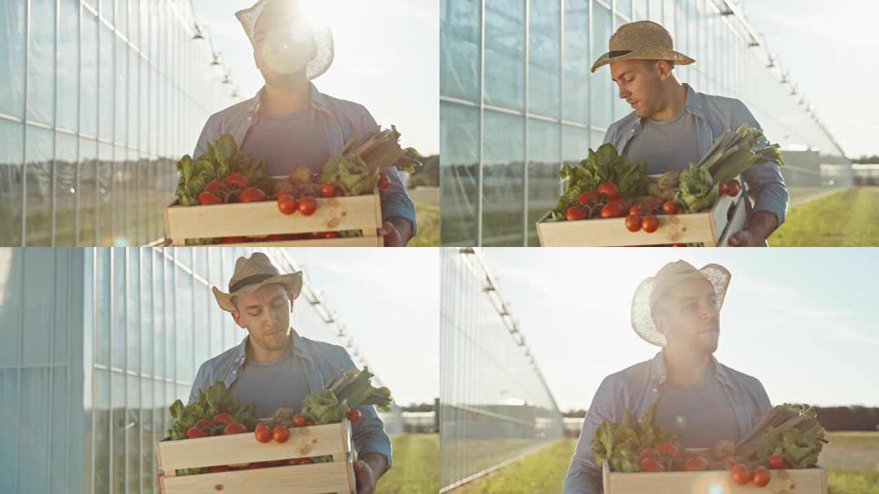 SLO MO年轻的男农民戴着帽子，背着装满新鲜蔬菜的板条箱