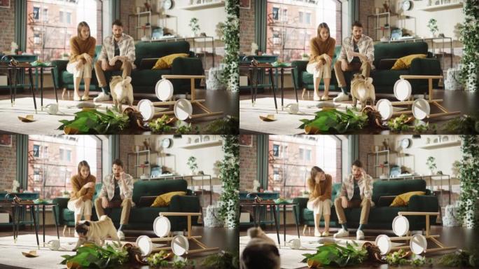 搞笑时刻:哈巴狗把盆栽花打翻，把整个公寓弄得一团糟，然后跑掉了。一对夫妇坐在沙发上，一脸难以置信的表