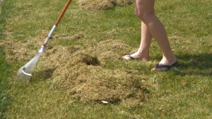 特写: 年轻女子在春季草坪曝气后耙成堆的草毡
