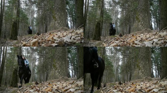 森林里骑马的女孩