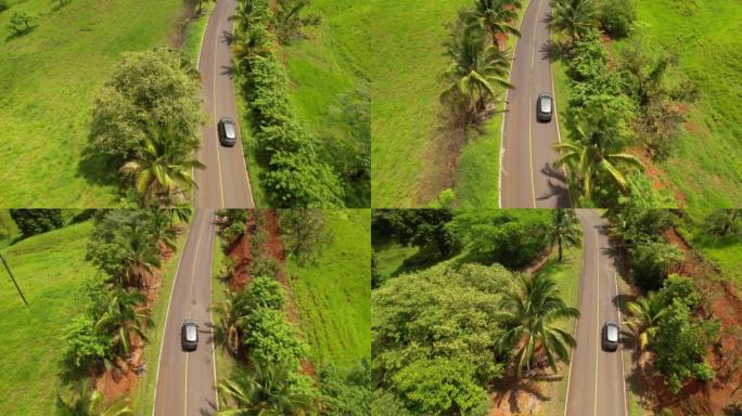 空中:越野车通过路口，避免在热带地区铺装路线上的坑洼