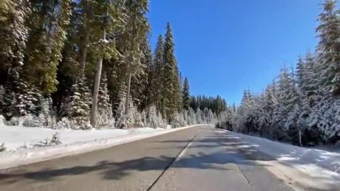 在冬季景观中穿越积雪覆盖的森林