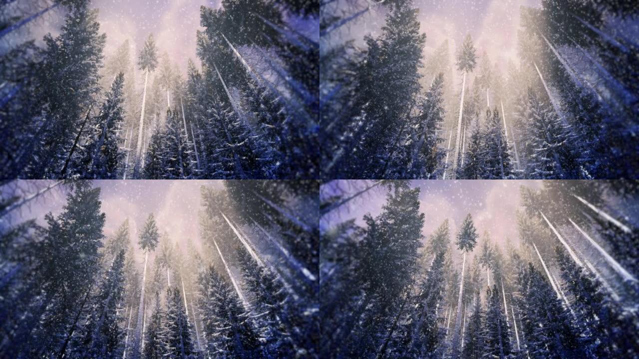 神话般的冬季森林，上面有一张带有树顶和飘落的雪的圣诞贺卡
