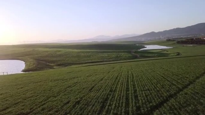 农场美丽乡村景观的4k视频片段