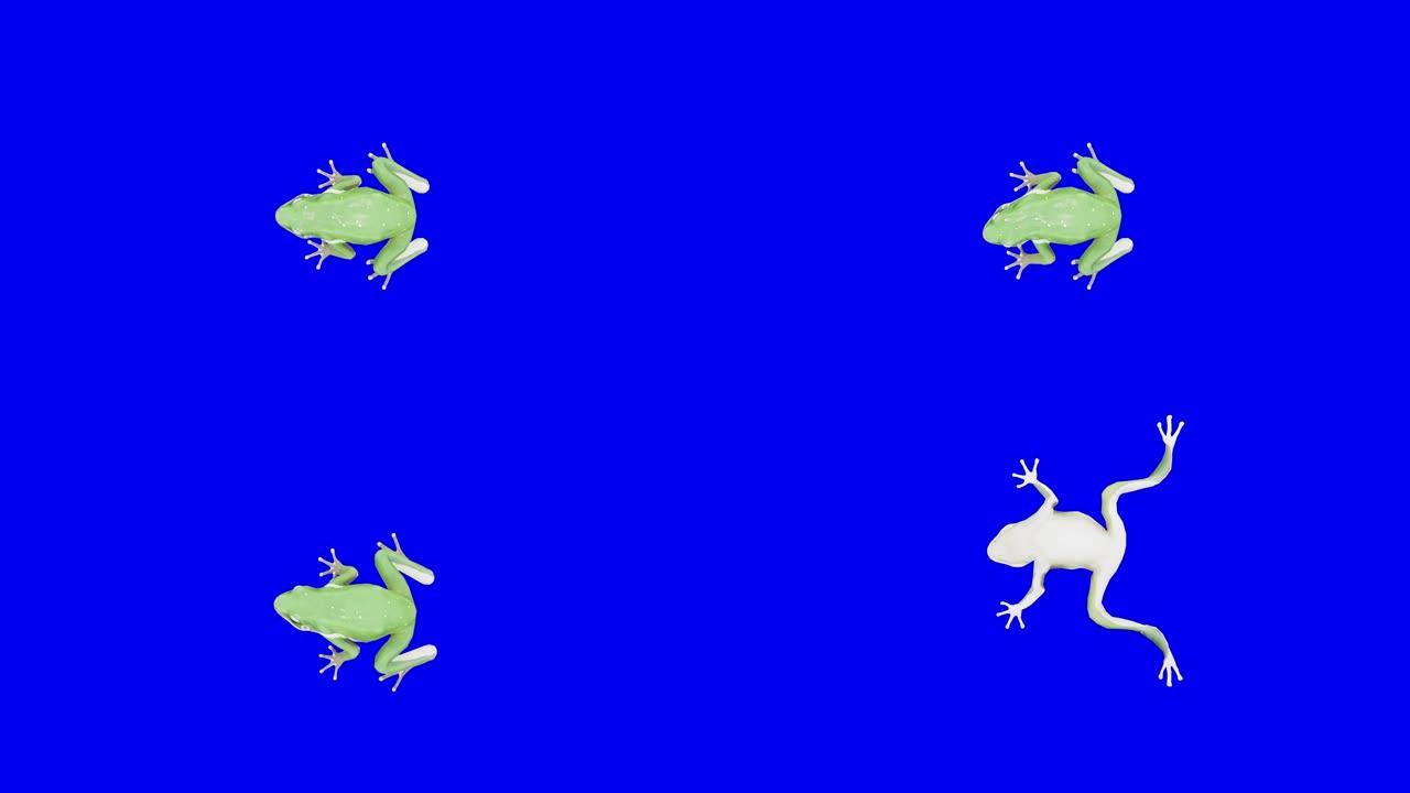 蓝箱上垂死的绿色青蛙。动物的概念，野生动物，游戏，返校，3d动画，短视频，电影，卡通，有机，色键，人