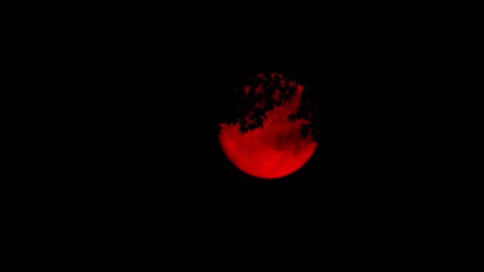绿树背后的血红色月亮可怕的场景