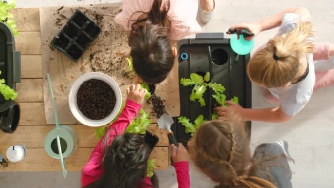 学生，幼儿和小学生从上面学习园艺，盆栽植物和自然。一群女孩和朋友正在进行植物学项目，以进行教育和保护