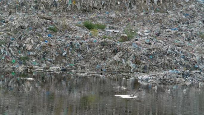 大废物和垃圾场到处都是鸟类和动物。受污染的地球和人类产品。现代社会消费与环境污染的概念。大自然被污染