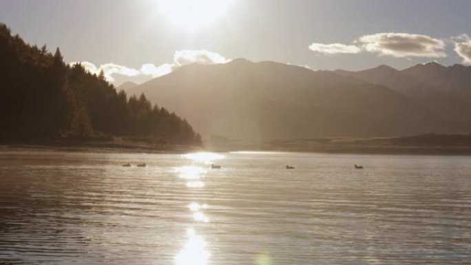 湖面反射阳光湖面湖水波光水面水纹