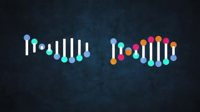 遗传DNA结构细胞二维细胞卡通动漫