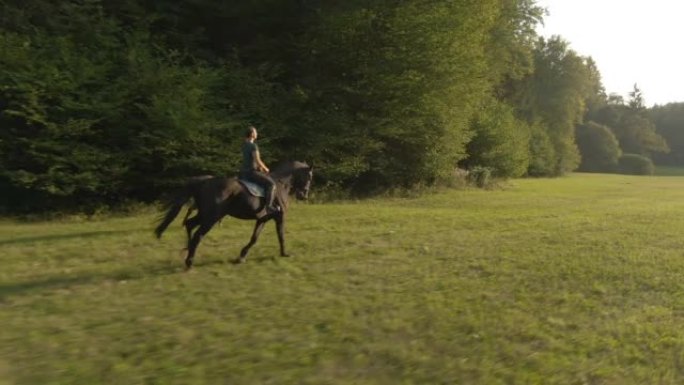 空中: 女性骑马骑手在日出时疾驰的无人机观点。