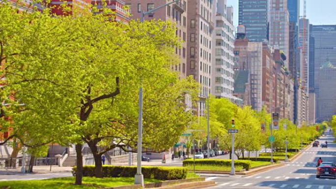 公园大道上满是树木。自然与城市城市结构