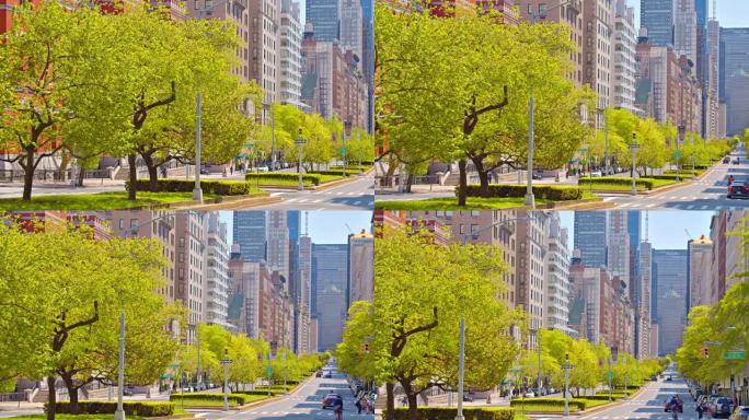 公园大道上满是树木。自然与城市城市结构